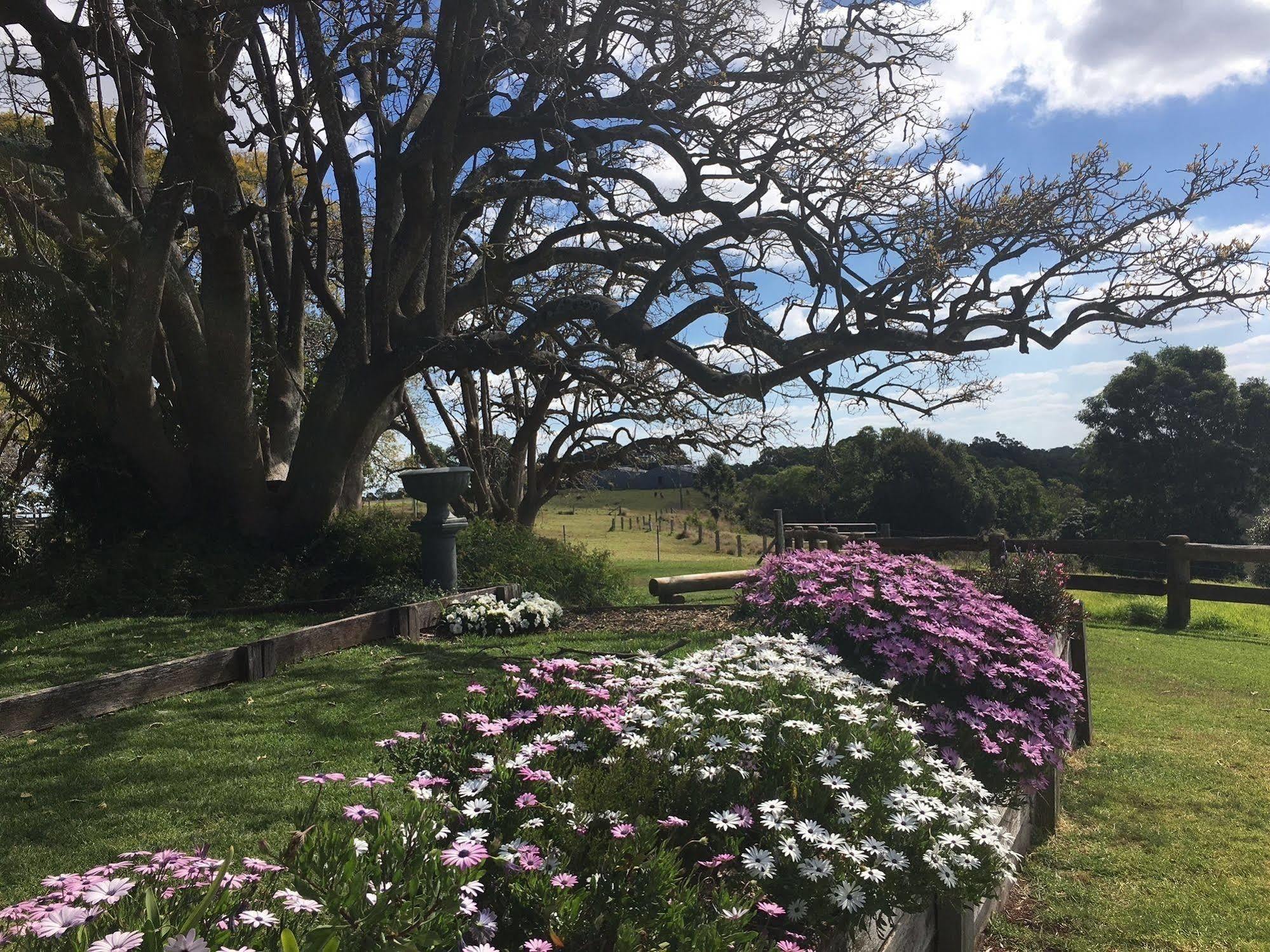 Hillview Cottages Kingaroy Exterior foto